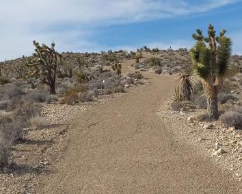 Vegas desert road leading to ATV adventure trails near Las Vegas